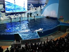 -福州罗源湾海洋世界旅游区