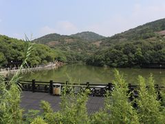 -白马涧龙池景区
