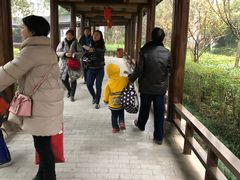 -山湖温泉
