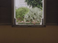 -胡志明市美术馆