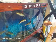 -肆月河豚·新淮扬(金融街店)