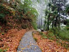 -南岳衡山风景名胜区
