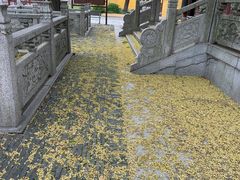 -上海青龙寺