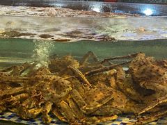 -顺德了能馆(虎门店)