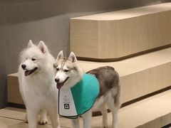 -瑞虹新天地月亮湾