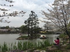 -上海植物园-4号门售票处