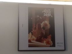 -27°罗马风情婚纱摄影