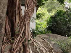 -乌山风景区