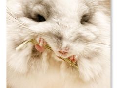 -龙猫仔乐园(惠福东路店)