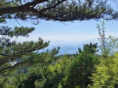 -北京十三陵国家森林公园蟒山景区