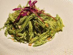 翠芽松尖-本处·素食·融合料理(南油店)