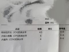 -芭比堂动物医院·CT·微创中心(新顺分院)