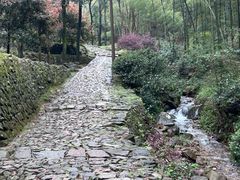 -仙霞关景区