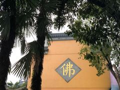 -鸡鸣赐茶(鸡鸣寺路店)