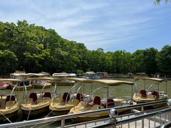 -上海海湾国家森林公园