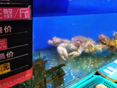 水产区-船梆煮•蒸汽海鲜·炉火烤肉(五四广场店)