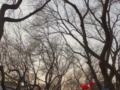 -北京国子监胡同