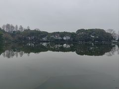 -西湖游船