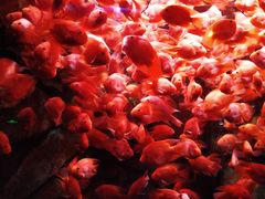 -波塞冬旅游度假区