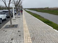 -南汇嘴观海公园