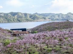 -河口景区