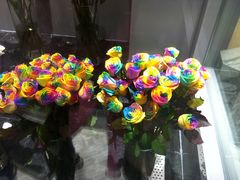 -ROSEONLY诺誓(青岛万象城店)