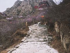 -辛安庄鸡鸣山景区