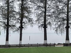 -湖滨客舍·湖北菜