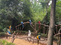 -杭州野生动物世界