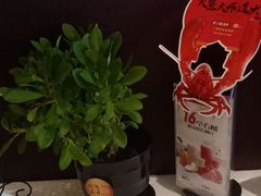 -旺顺阁海鲜广场(亚运村店)