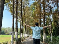 -合肥滨湖国家森林公园