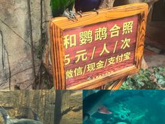 -长鹿旅游休博园