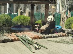 -大连森林动物园