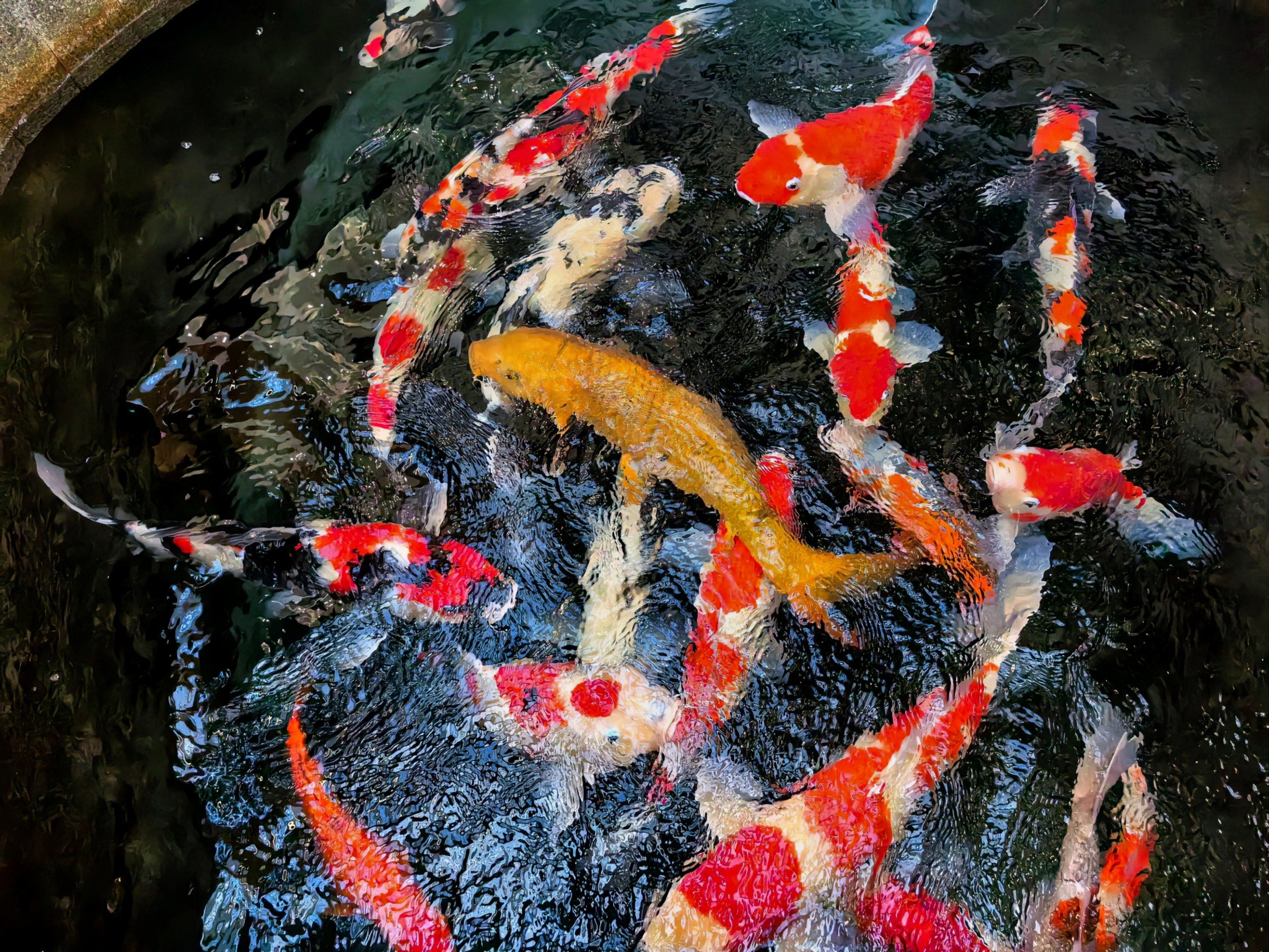 惊蛰春意萌动,万物生机盎然