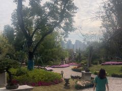 -江心屿景区