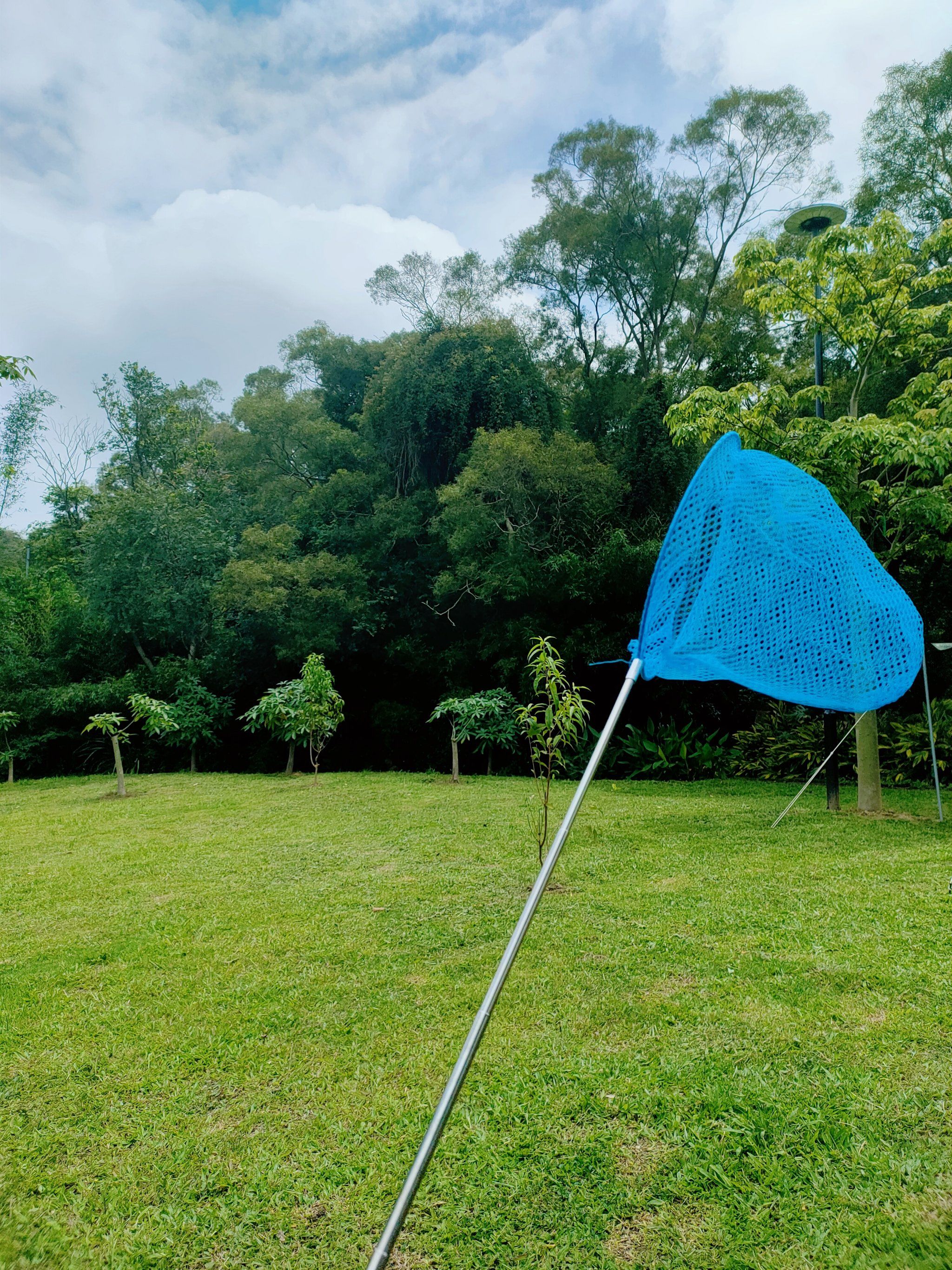 捕捉夏天的阳光