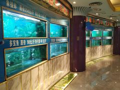 水产区-金龙渔港(双楠店)