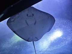 -珠海长隆海洋王国