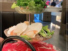 -湊湊火锅·茶憩(打浦桥日月光店)