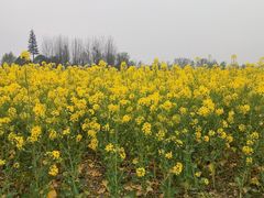 -中国天府农业博览园