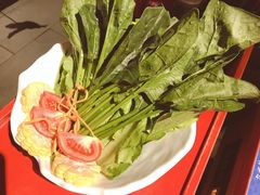 -大龍燚火锅(东葛店)