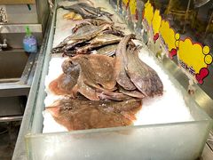 -渔娘渔家丹东海鲜(东直门店)