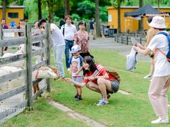 -前小桔亲子创意农场·草莓采摘·露营烧烤