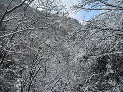 -藏龙百瀑风景区