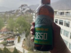 -平措康桑·和牛自助观景餐厅(布达拉宫店)
