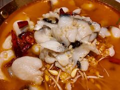 椒麻酸菜鱼-大鹏饭店·金陵家宴(奥体中心店)