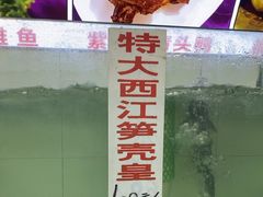 特大西江笋壳皇-西江河鲜·趣苑酒楼(鼎湖牌坊店)