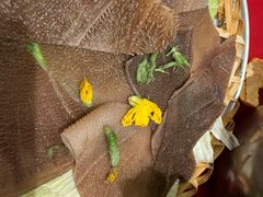 -潮汕·草根牛肉档(上海荟聚城市集市店)