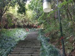 -梦姑塘文化公园