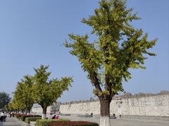 -西安汉城湖景区
